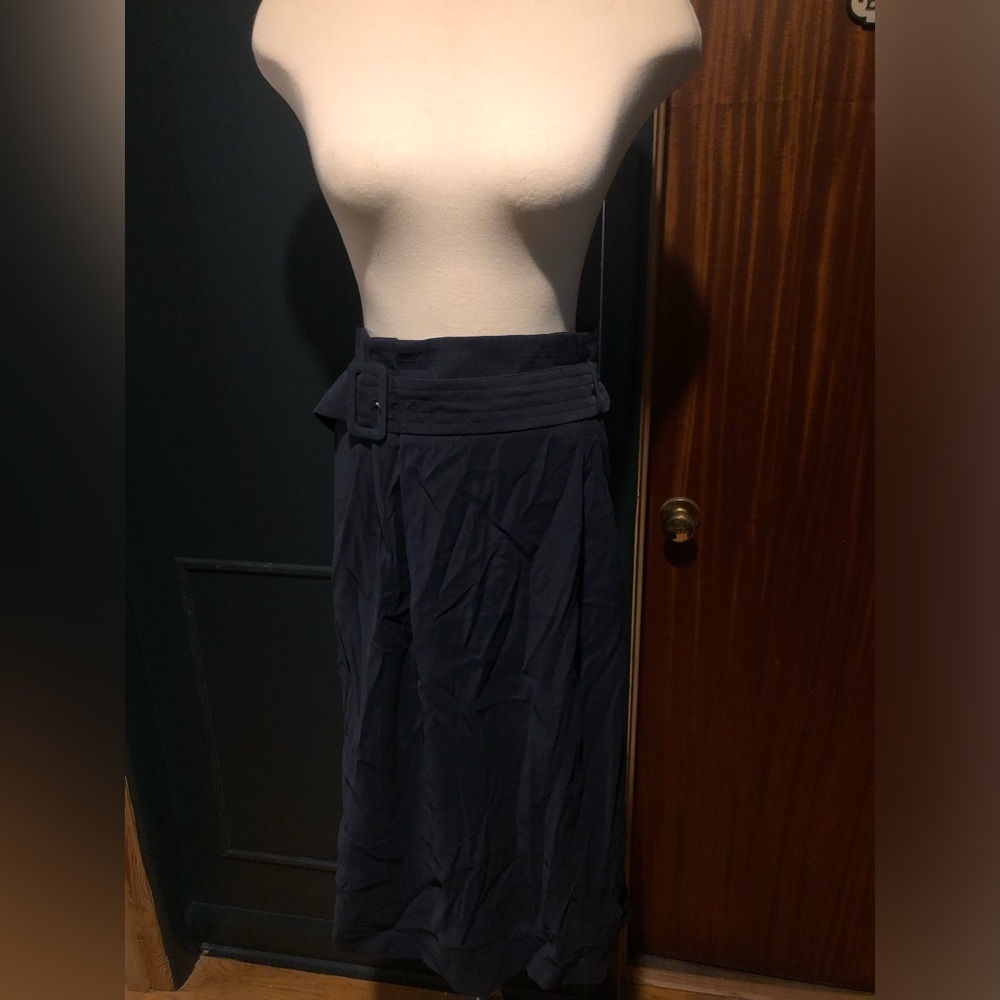Elegant Navy Skirt